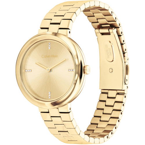 Helen Kirchhofer - Calvin Klein Twisted Bezel - 25100094