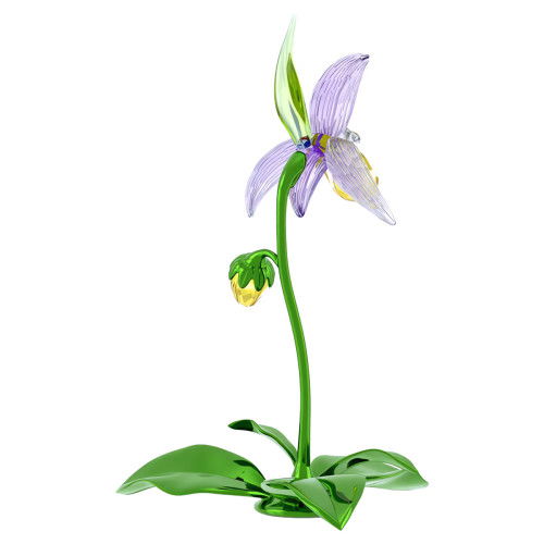 Helen Kirchhofer - Swarovski Florere Frauenschuh - 5721548