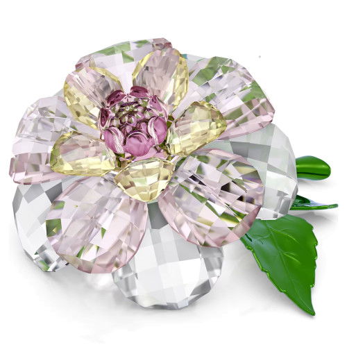 Helen Kirchhofer - Swarovski Florere Kamelie - 5721538