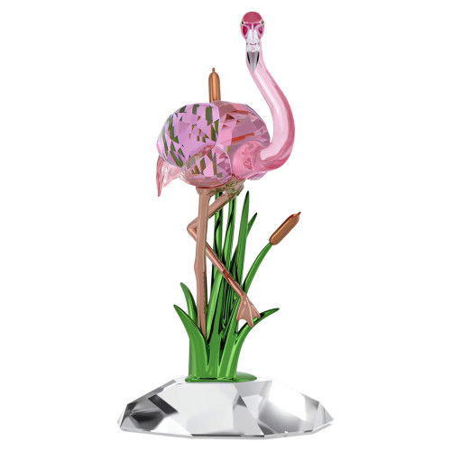 Helen Kirchhofer - Swarovski Idyllia Flamingo - 5721551