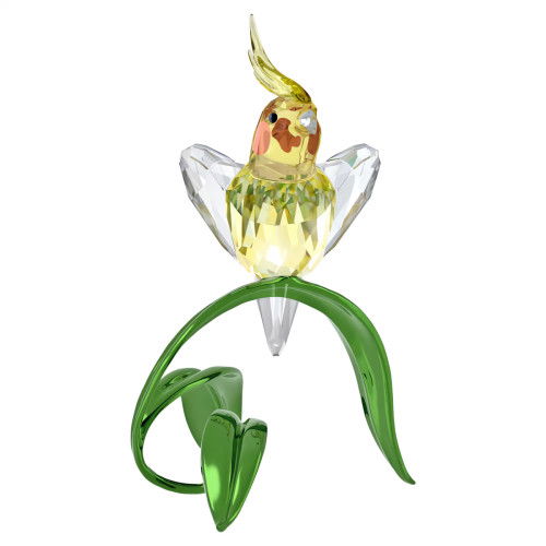 Helen Kirchhofer - Swarovski Idyllia Nymphensittich - 5721544