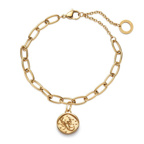 Helen Kirchhofer - Paul Hewitt Scorpio Charm Gold - PH-JE-1210