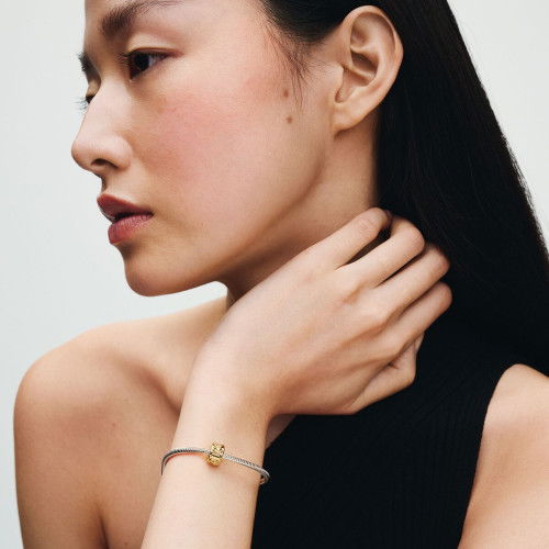 Helen Kirchhofer - Pandora Liebesknoten Clip Charm - 768035C00