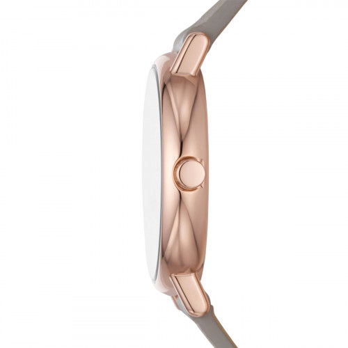 Helen Kirchhofer - Skagen Signatur Lille - SKW3060