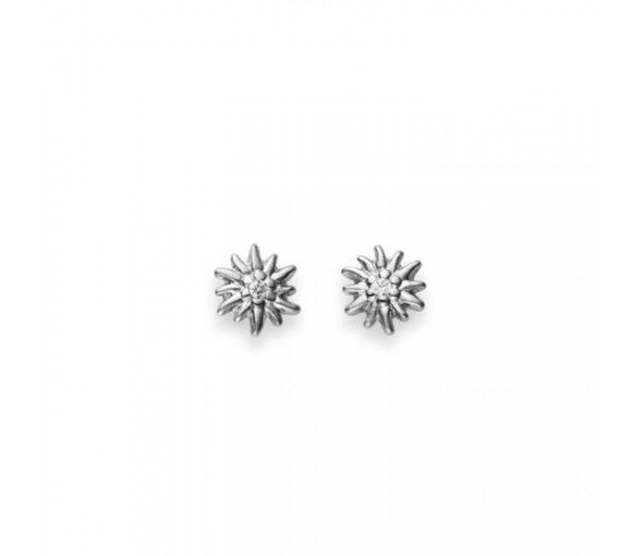 Helen Kirchhofer - HK Silver Classics Ohrstecker Edelweiss - 6262.03157/0001