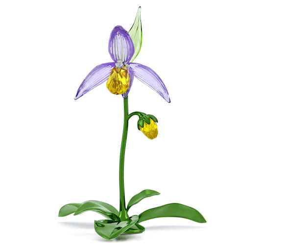 Helen Kirchhofer - Swarovski Florere Frauenschuh - 5721548