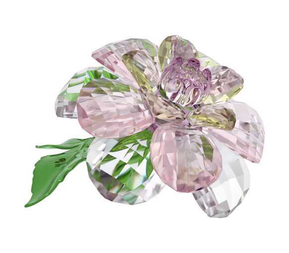 Helen Kirchhofer - Swarovski Florere Kamelie - 5721538