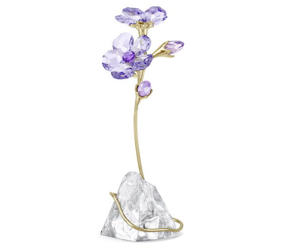 Helen Kirchhofer - Swarovski Florere Rozanne - 5693143