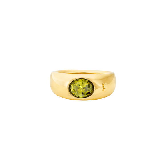 Michael Kors Anello Fashion - MKJ8483710