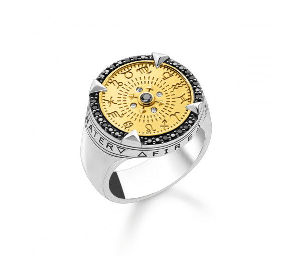 Helen Kirchhofer - Thomas Sabo Ring Elements of Nature Gold - TR2329-849-7