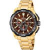 Helen Kirchhofer - Festina Chrono Bike - F20727/3