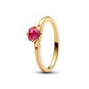 Helen Kirchhofer - Pandora Explosion of Love Ring - 166574C01